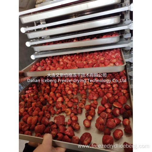 Strawberry Fruit Freeze-drying Machine